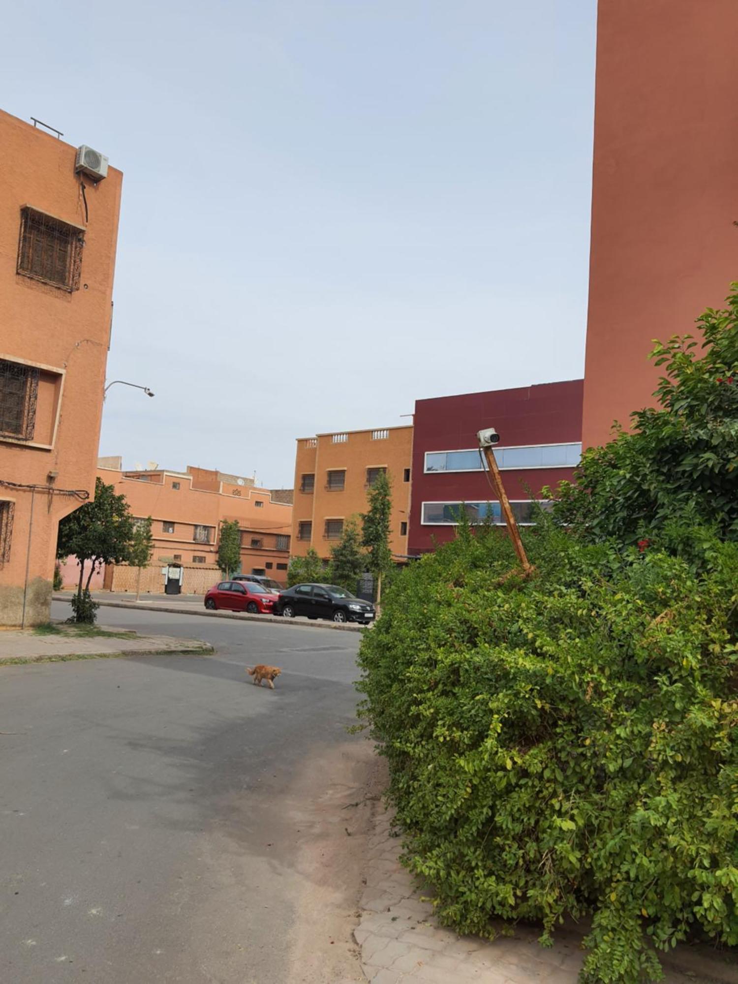 Marrakech Apartment Marrakesh Luaran gambar