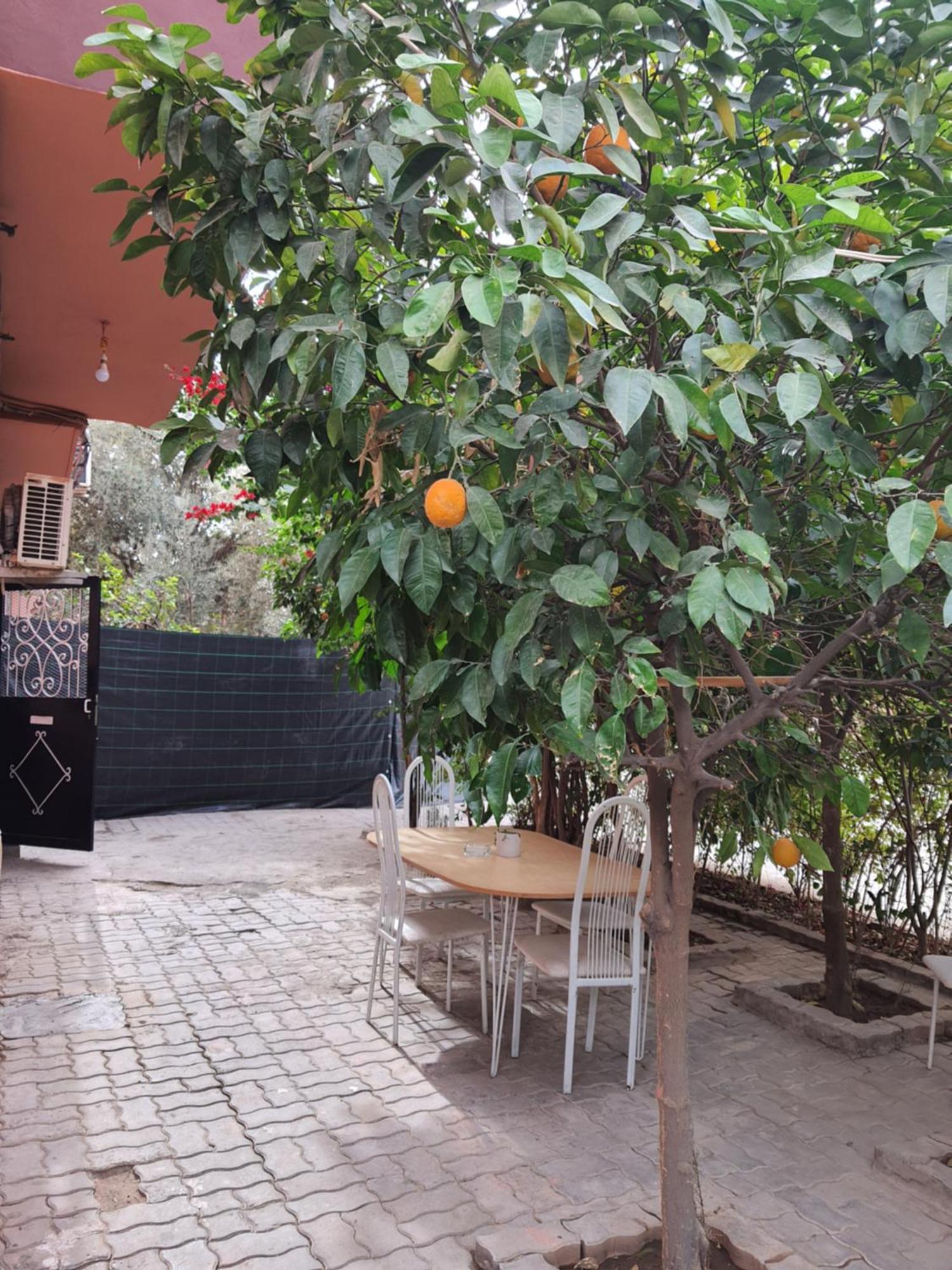 Marrakech Apartment Marrakesh Luaran gambar
